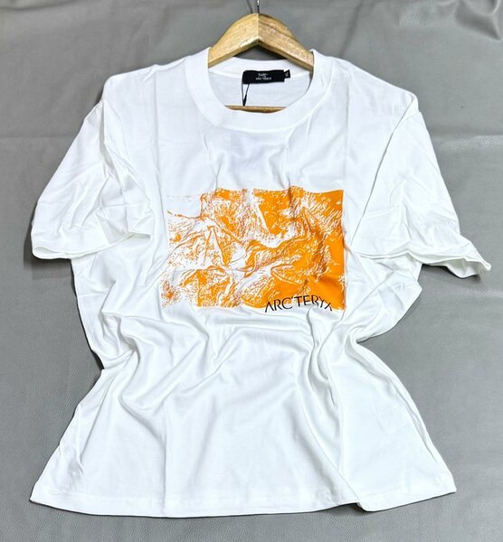 T-shirt homme Arcteryx blanc