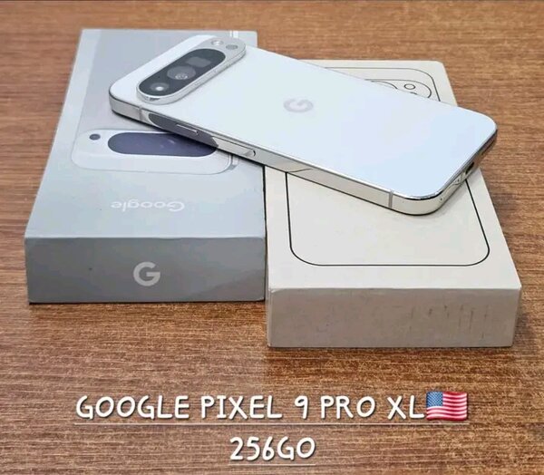 Google Pixel 9 Pro XL 256Go