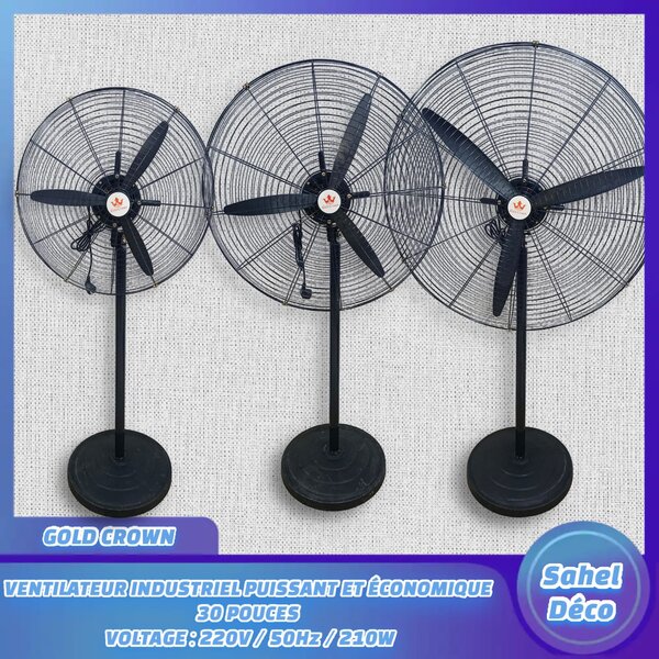 Ventilateur industriel 30 pouces