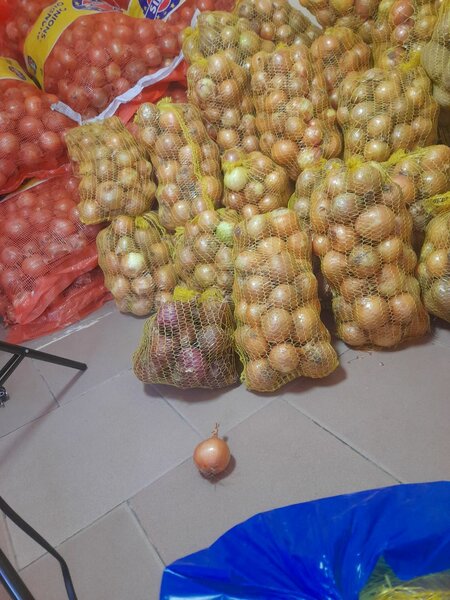 Oignons frais en filet