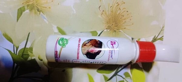 Shampooing 2x1 Antiparasitaire