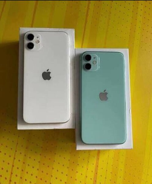 iPhone 12 - 64 Go Blanc & Vert