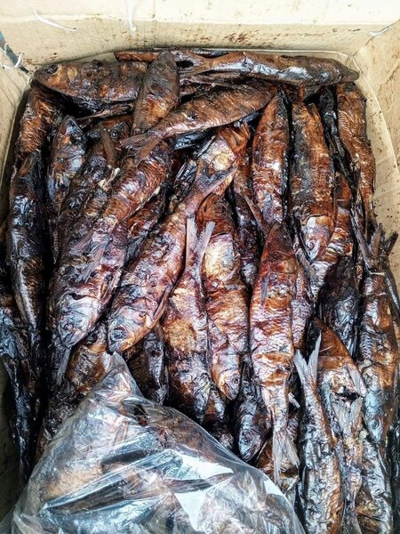 Magne sec 4500 le kg