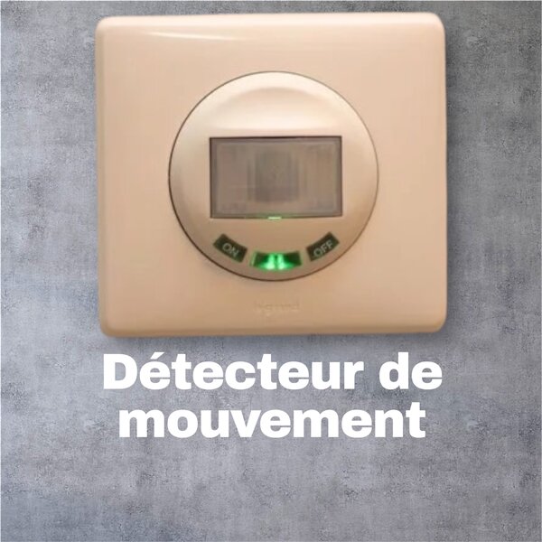 Détecteur de Mouvement Intelligent