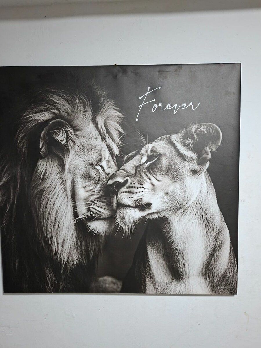 Art Print Canvas Wall Art Painting