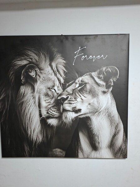 Art Print Canvas Wall Art Painting