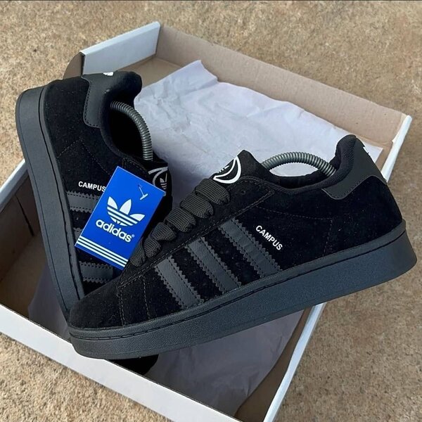 Adidas Campus sans le carton