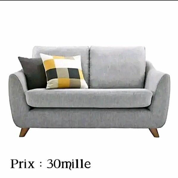 Canapé moderne 2 places