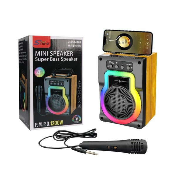 Haut-parleur Mini 1200W LED