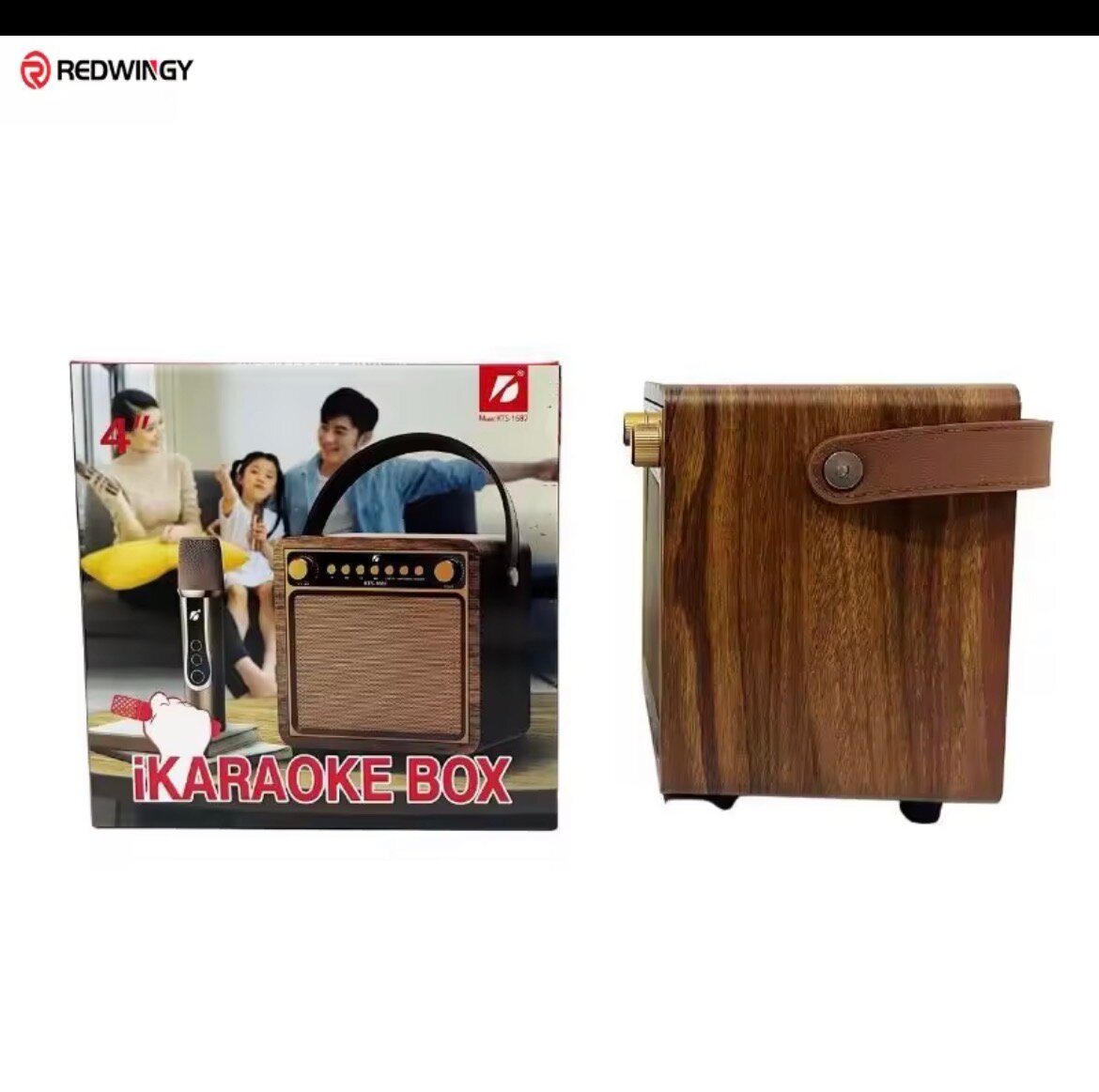 Enceinte Karaoké Portable Bois