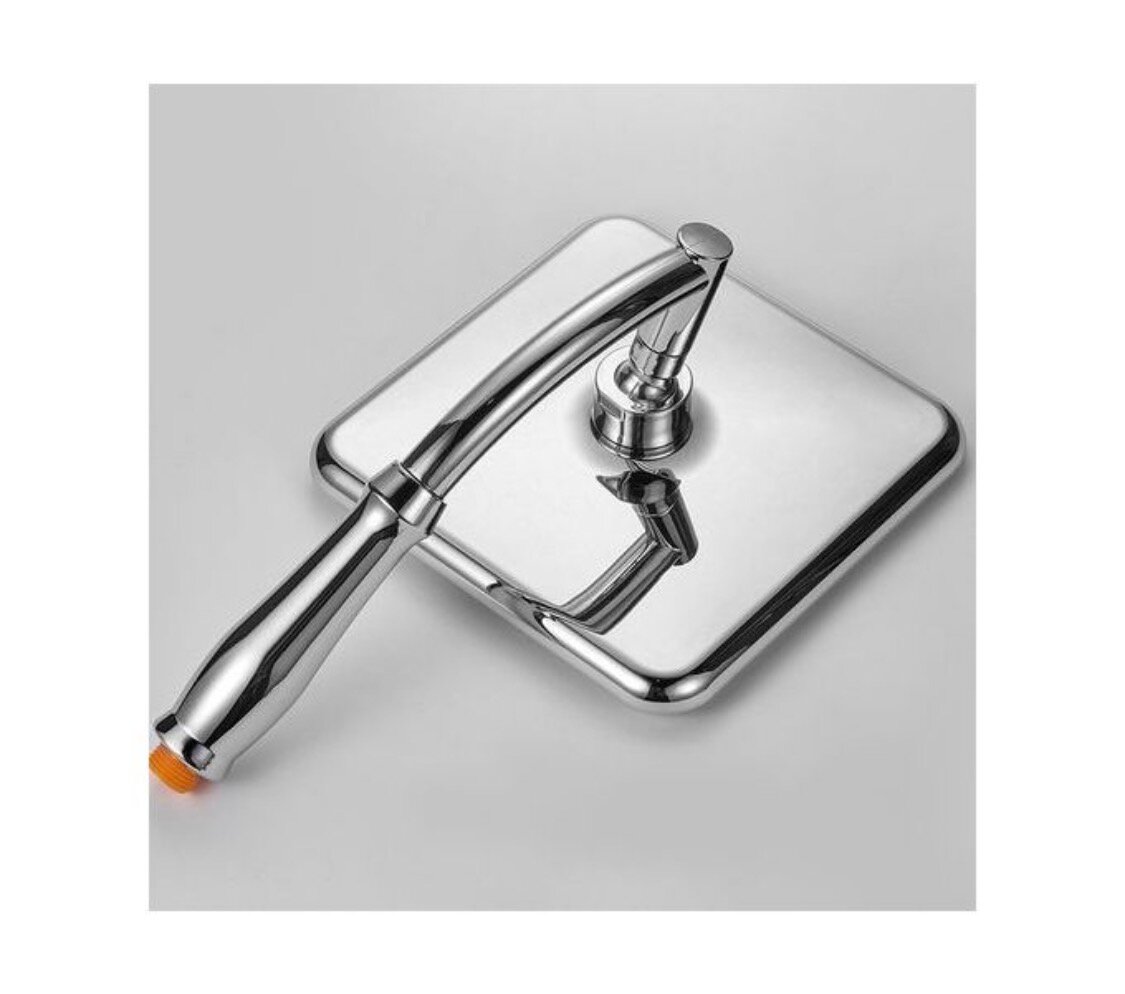 Tête de douche avec pommeau et flexible