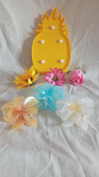 Pinces à cheveux fleurs colorées