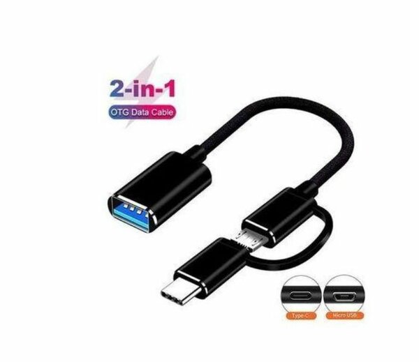 Câble OTG USB 3.0 2-en-1