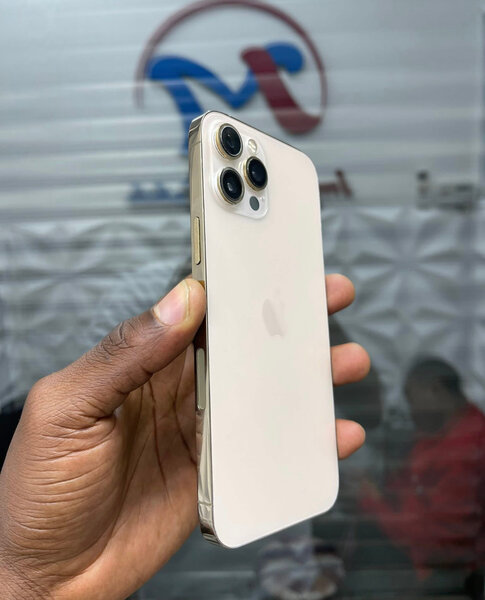 iPhone 13 Pro Max 256 Go