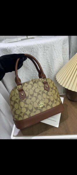 Sac à main Coach en cuir