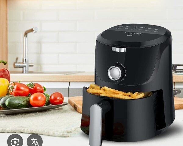 Friteuse électrique sans huile