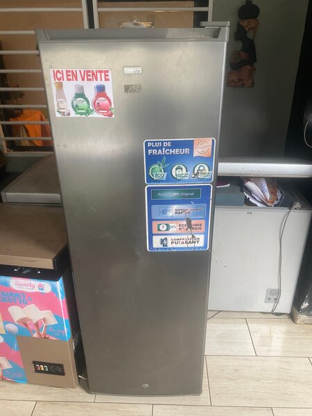 Congélateur vertical argenté