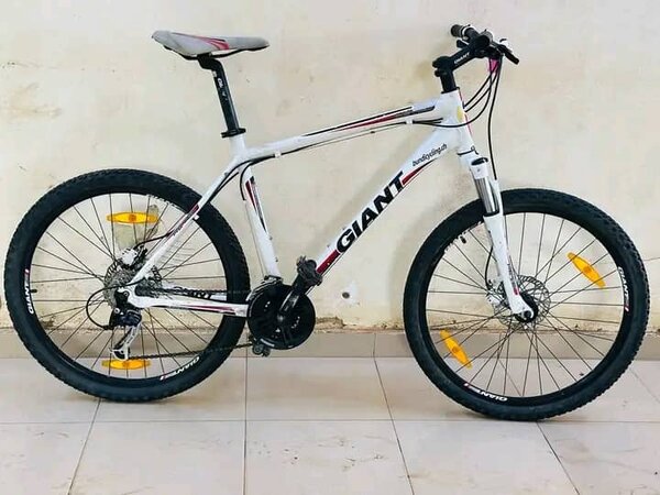 Vélo de Montagne GIANT Blanc