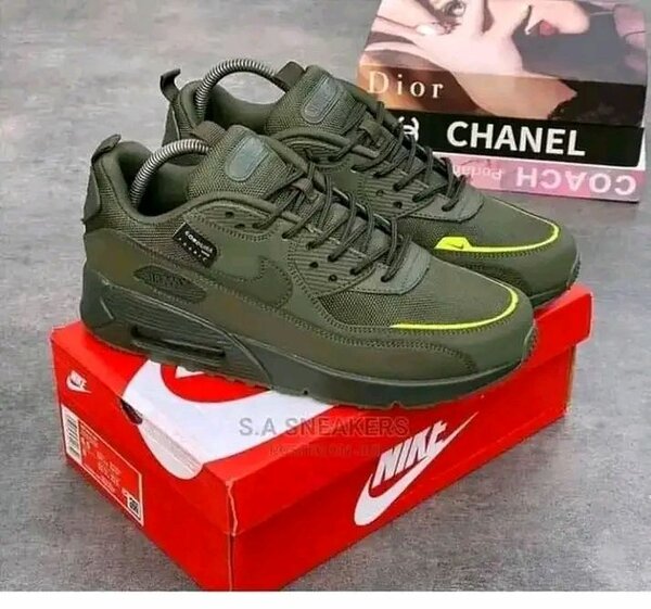 Chaussures Nike Air Max