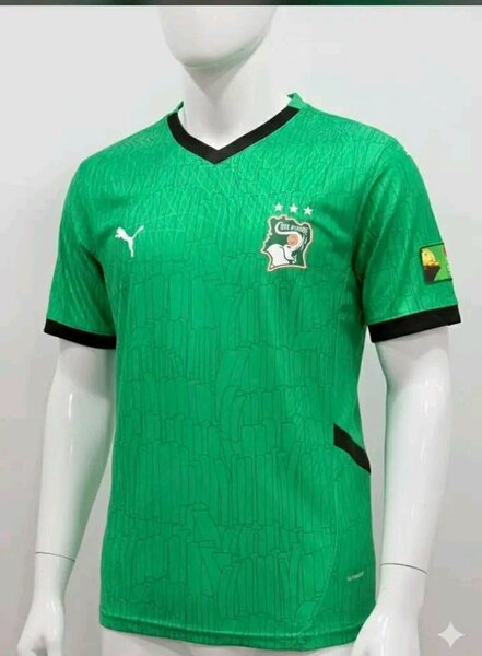 Maillot Sénégal Puma homme