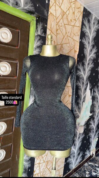 Robe moulante élégante