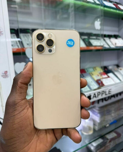 iPhone 12 Pro 256 Go Or