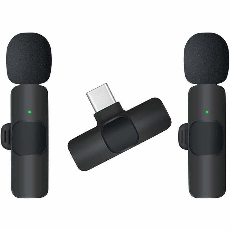 Microphone sans fil double
