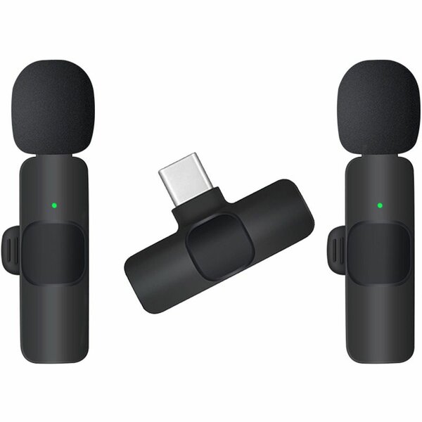 Microphone sans fil double