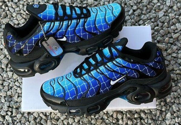 Nike Air Max TN bleu et noir