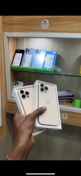 iPhone 13 Pro Max 256GB