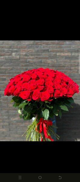 Bouquet de roses rouges
