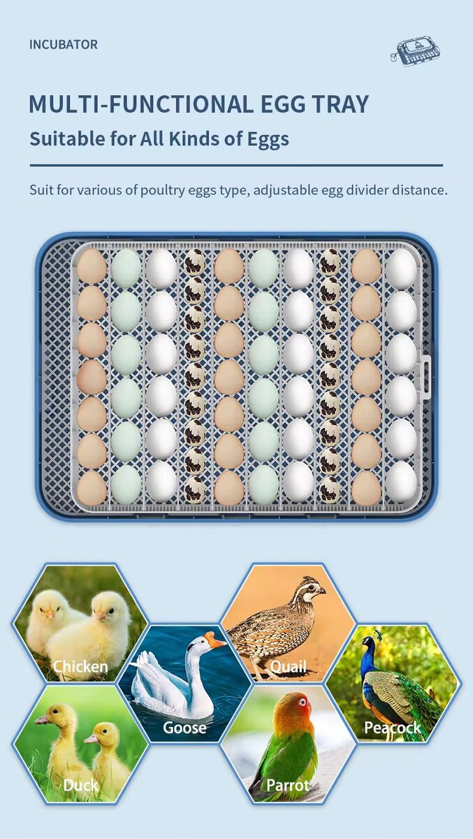 Couveuse automatique 70 œufs