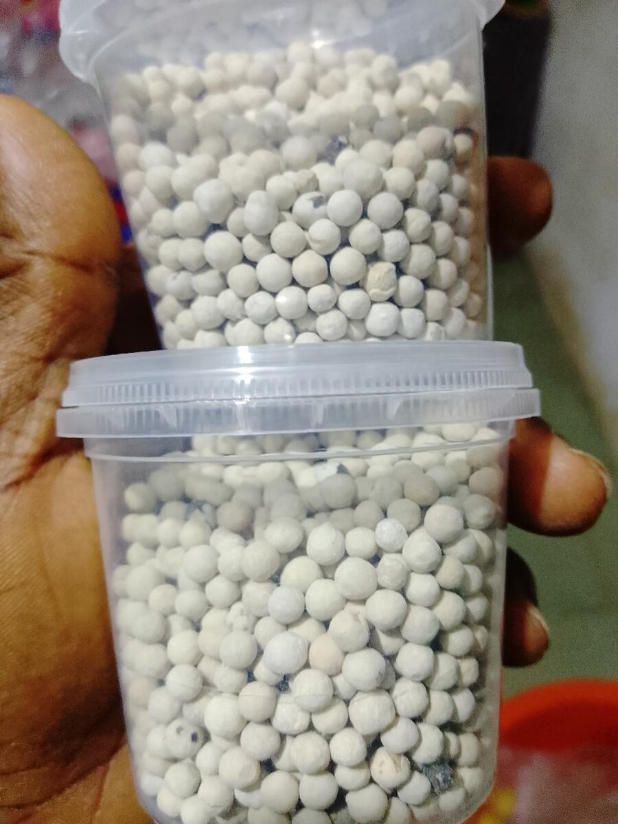 Poivre Blanc en Grains Frais