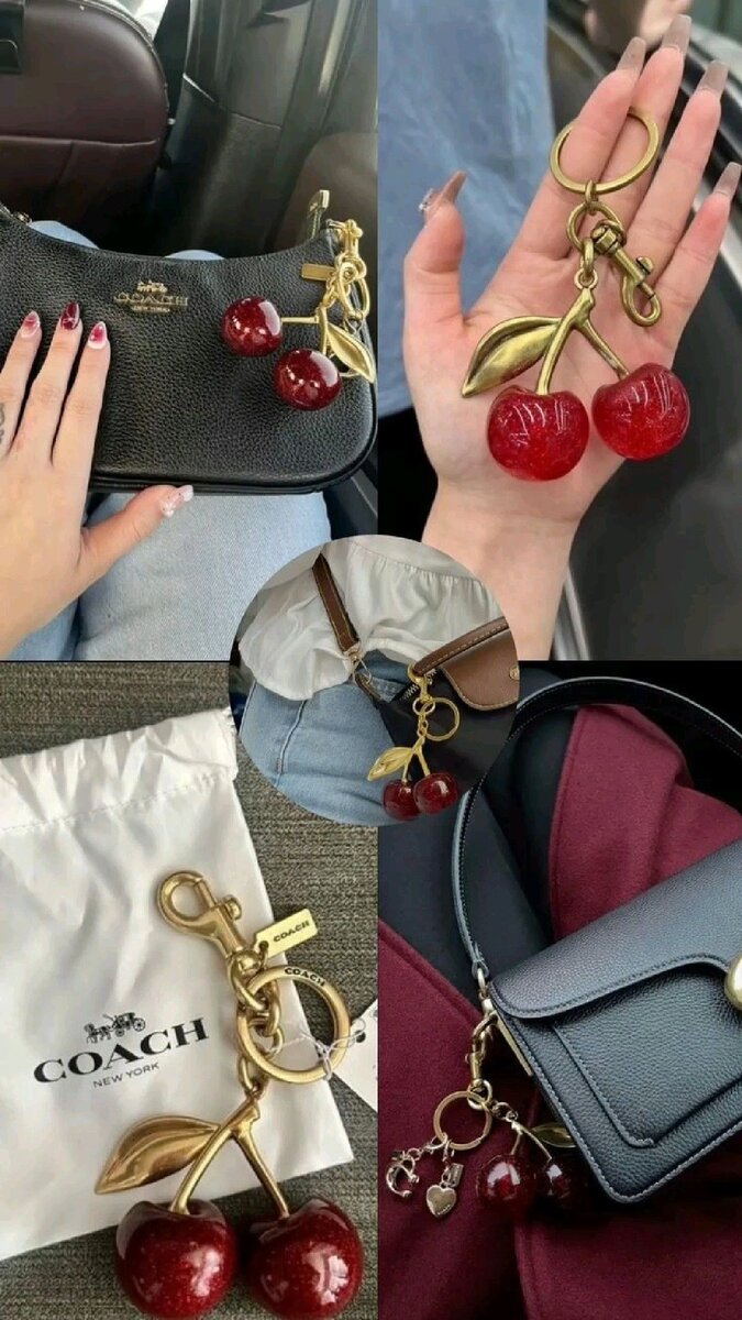 COACH Terry Shoulder +charms