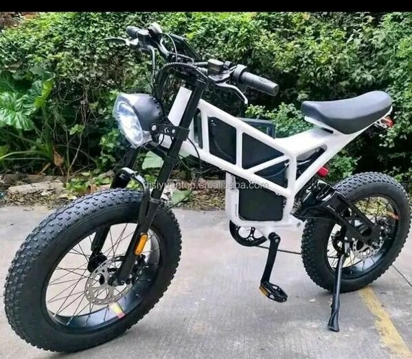 Vélo électrique tout terrain blanc