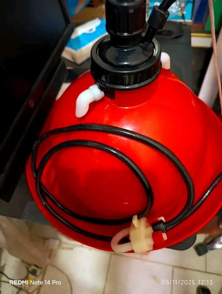 Automatique Rouge Poulet Boire