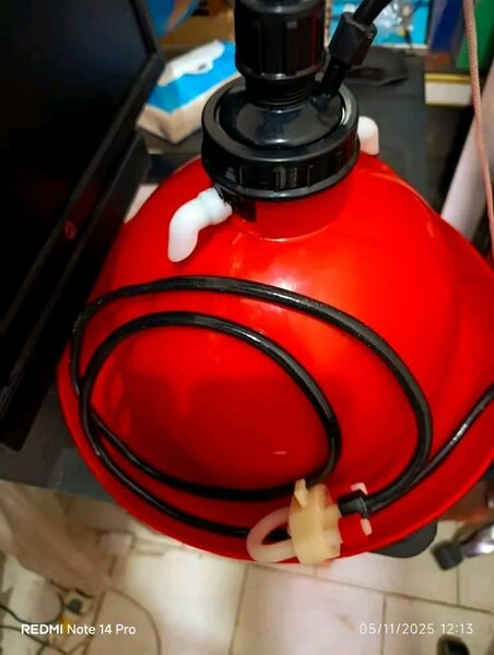 Automatique Rouge Poulet Boire