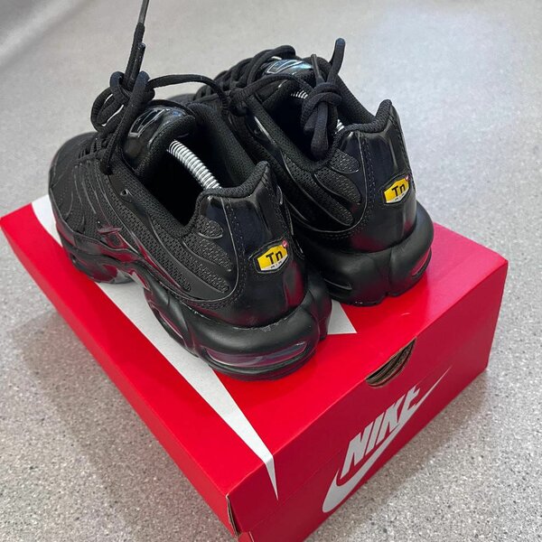 Nike Air Max TN Sneakers