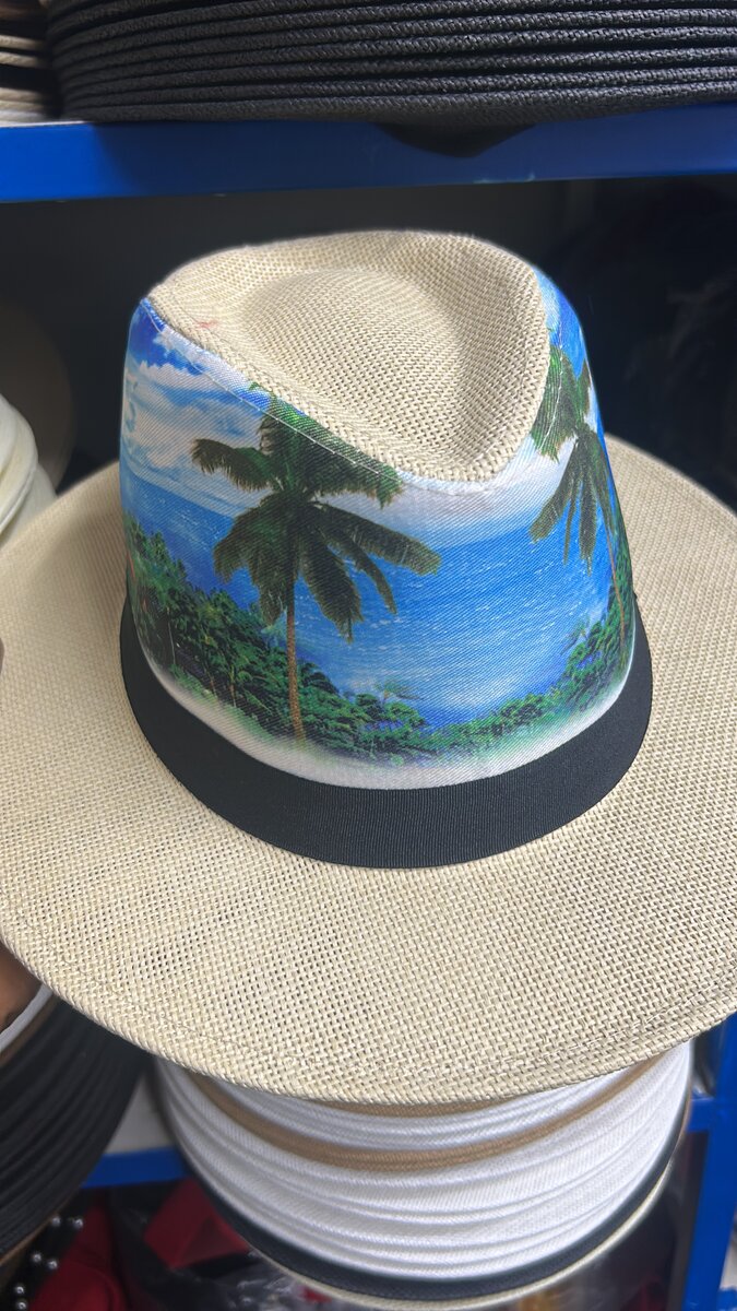 Chapeau Panama Tropical