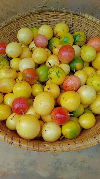 Fruits de la passion frais