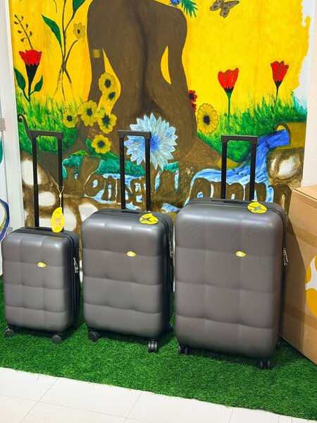 Valise à roulettes élégante