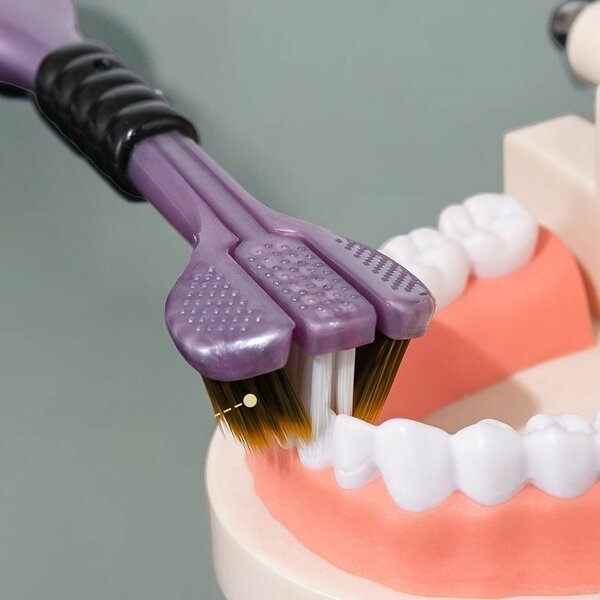 1 Brosse à dents 360°