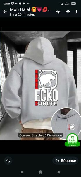 Sweat à capuche Ecko gris