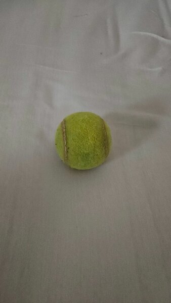 Balle de tennis durable