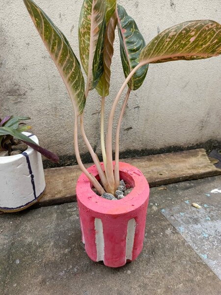 Pots en béton colorés
