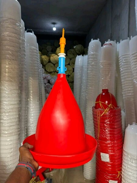 Chauffe-eau pour poulets, distributeur d'eau