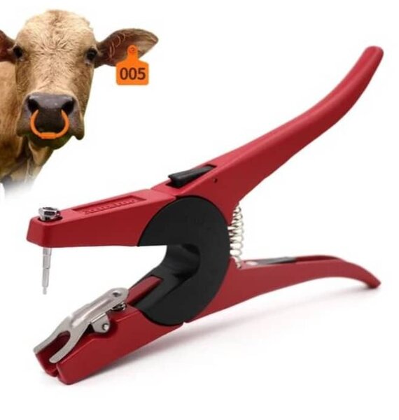 Pince boucle d'identification