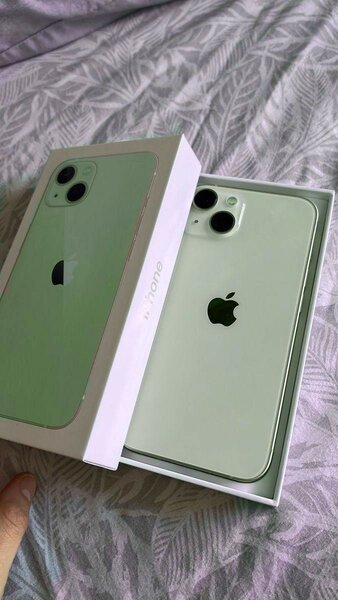 iPhone 12 Vert Menthe