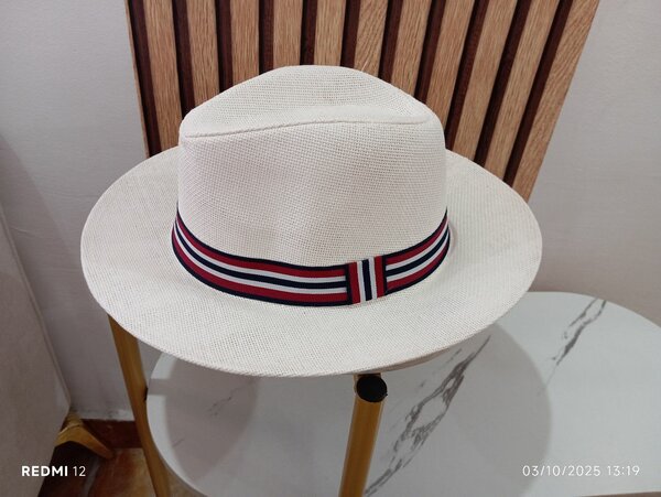 Chapeau Panama élégant