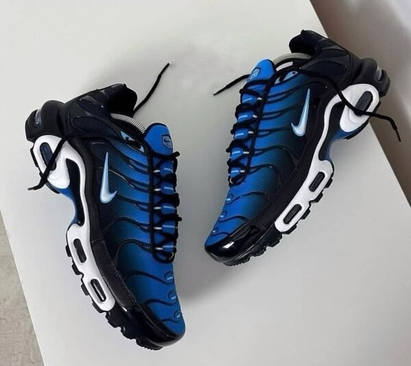 Nike Air Max Plus TN Noir et Bleu